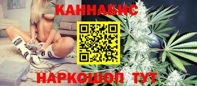 гидра Гай