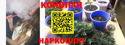 гидра Гай