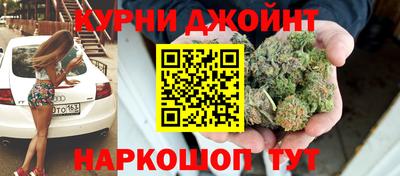 гидра Гай