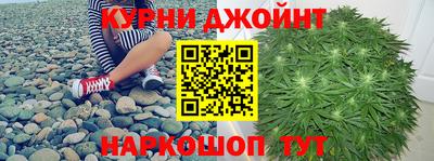 гидра Гай