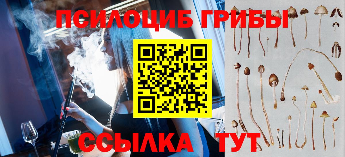 Гурьевск  Псилоцибиновые грибы MAGIC MUSHROOMS  Вход с VPN  Галлюциногенные грибы Magic Shrooms 